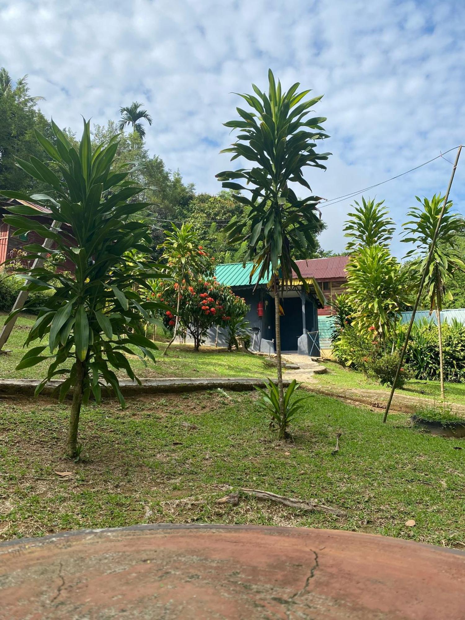 Durian Chalet Kuala Tahan Exterior photo